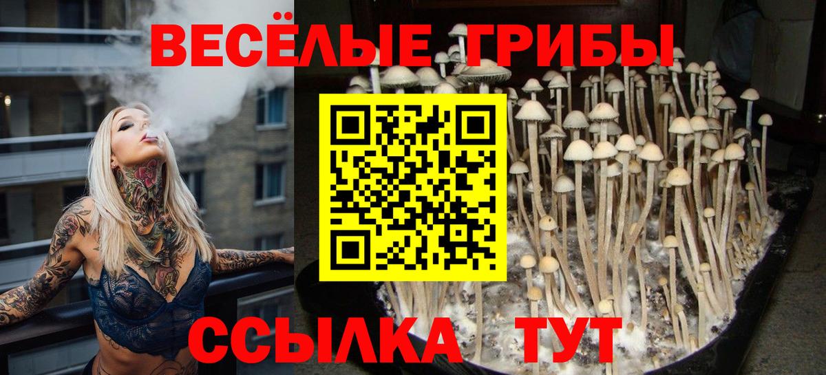 Галлюциногенные грибы ЛСД  Кисловодск 