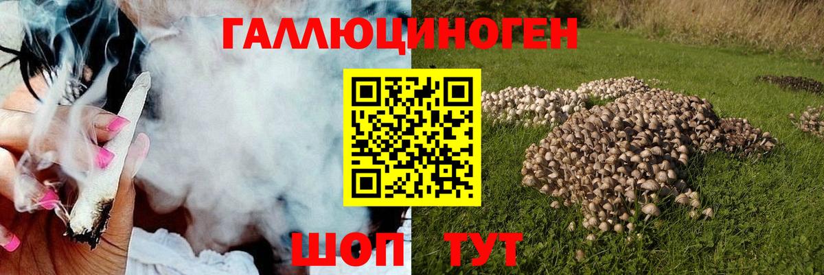 Псилоцибиновые грибы Magic Shrooms  Вход с VPN  Кисловодск 