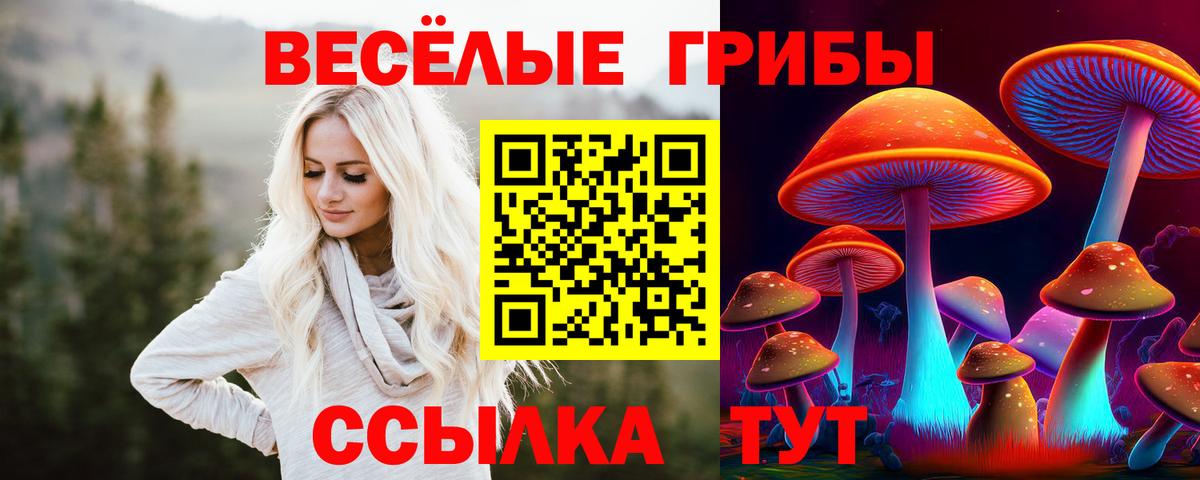 Галлюциногенные грибы прущие грибы Кисловодск
