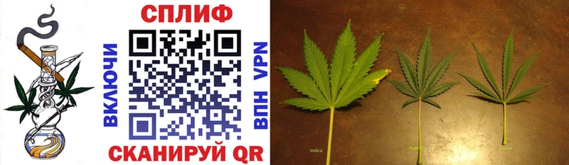 Бошки марихуана Ganja  Кисловодск 